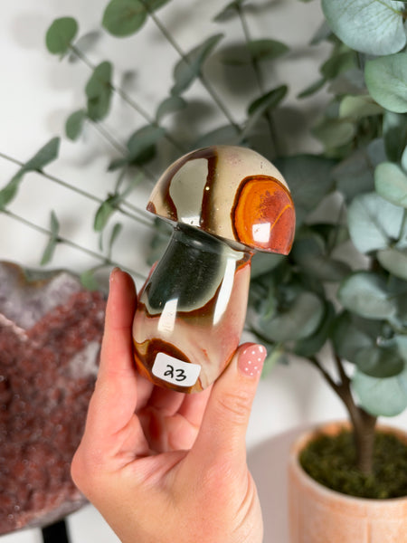 Polychrome Jasper Mushrooms - you pick