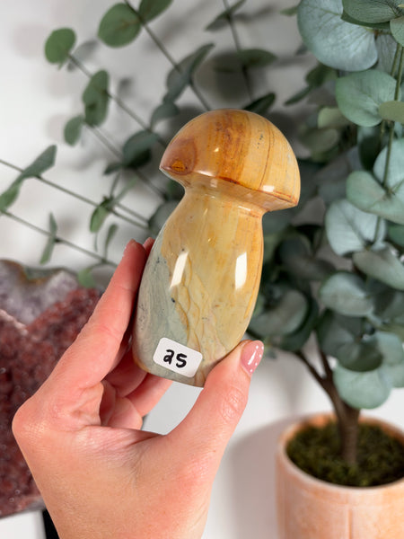 Polychrome Jasper Mushrooms - you pick