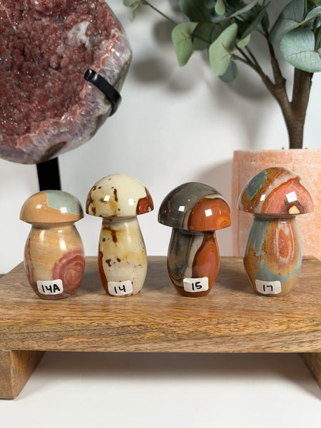 Polychrome Jasper Mushrooms - you pick