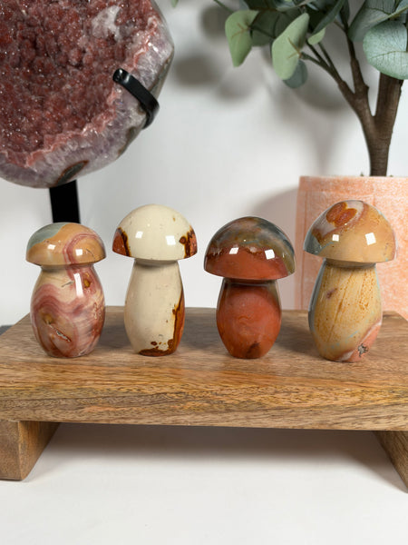 Polychrome Jasper Mushrooms - you pick