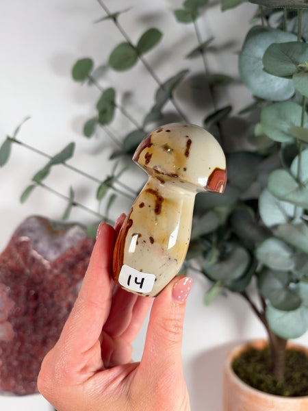 Polychrome Jasper Mushrooms - you pick