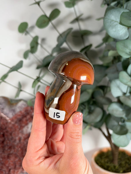 Polychrome Jasper Mushrooms - you pick