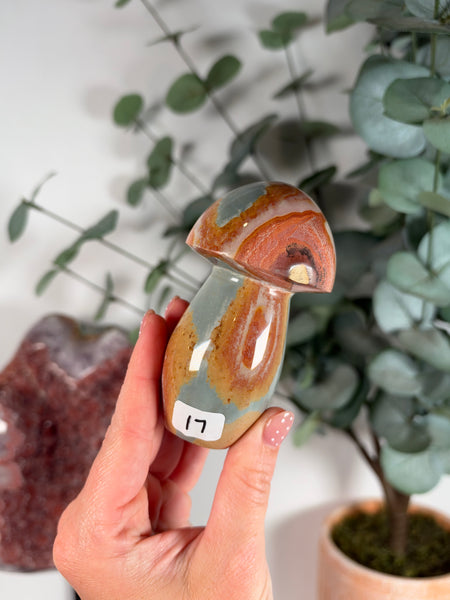 Polychrome Jasper Mushrooms - you pick