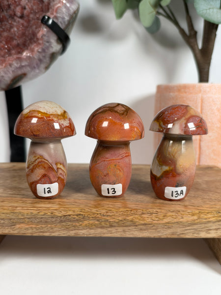 Polychrome Jasper Mushrooms - you pick