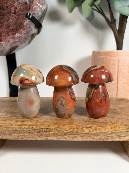 Polychrome Jasper Mushrooms - you pick