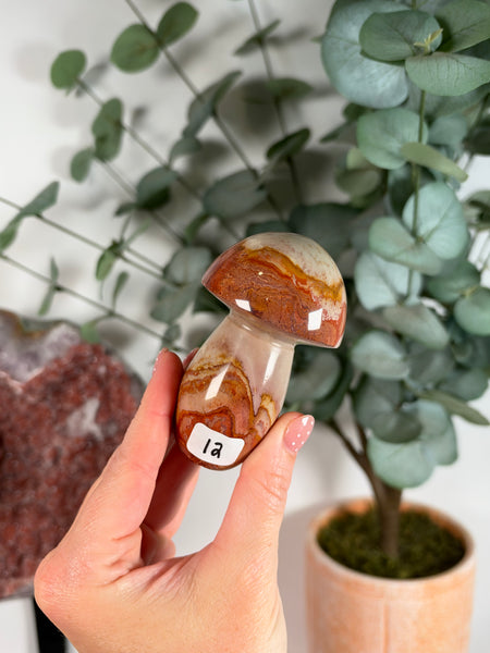 Polychrome Jasper Mushrooms - you pick