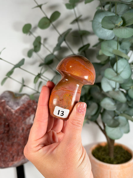 Polychrome Jasper Mushrooms - you pick