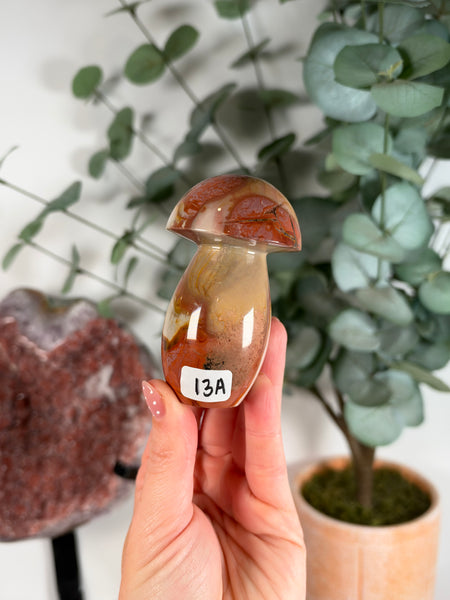 Polychrome Jasper Mushrooms - you pick