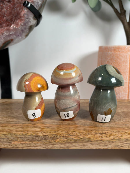 Polychrome Jasper Mushrooms - you pick