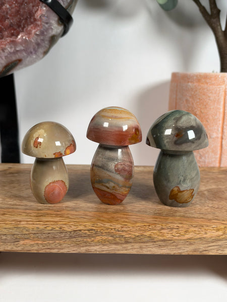 Polychrome Jasper Mushrooms - you pick