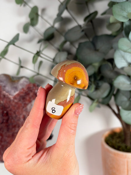 Polychrome Jasper Mushrooms - you pick