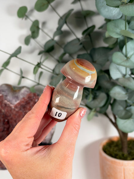 Polychrome Jasper Mushrooms - you pick