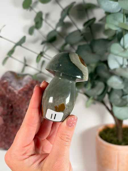 Polychrome Jasper Mushrooms - you pick