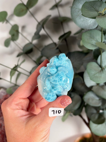 Larimar Turtle - 710