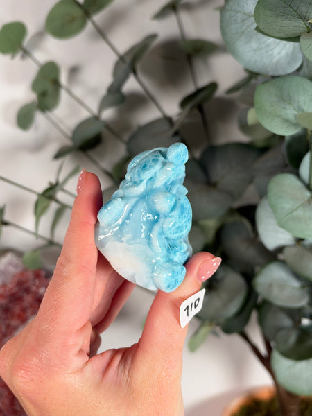 Larimar Turtle - 710