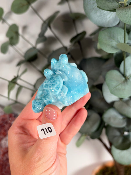 Larimar Turtle - 710