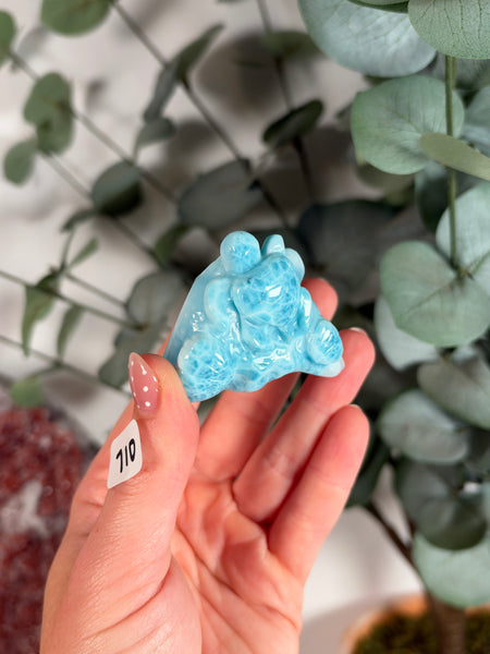 Larimar Turtle - 710