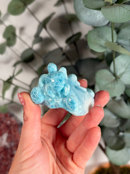 Larimar Turtle - 710