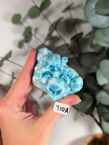 Larimar Turtle - 710A