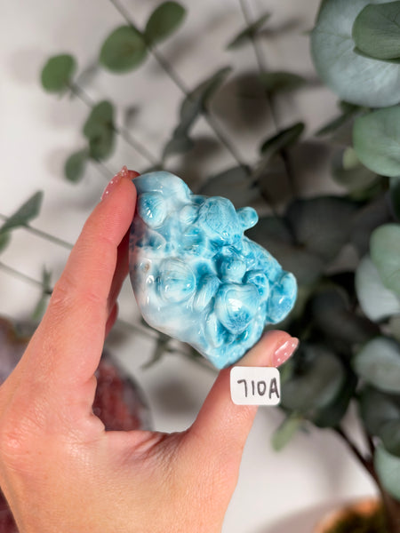 Larimar Turtle - 710A