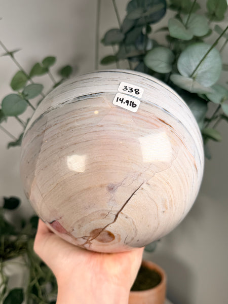 Sea Jasper Sphere - 338