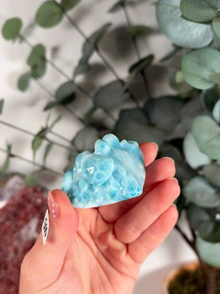 Larimar Turtle - 500