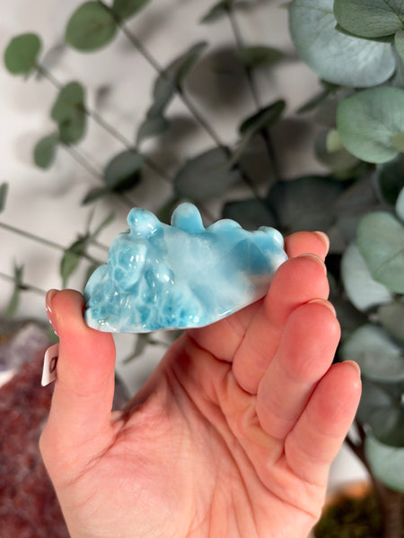 Larimar Turtle - 500