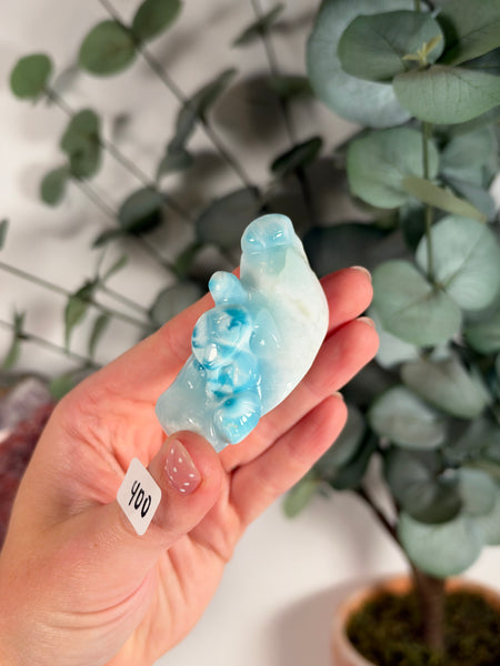 Larimar Turtle - 400