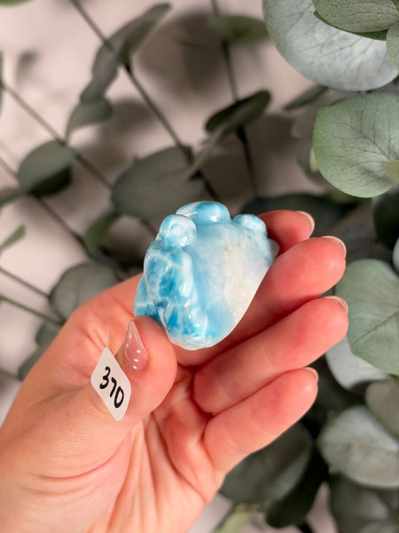 Larimar Turtle - 370