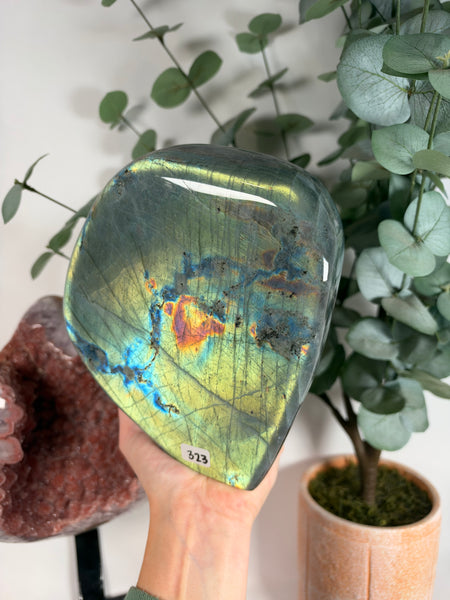Labradorite Free Form - 323