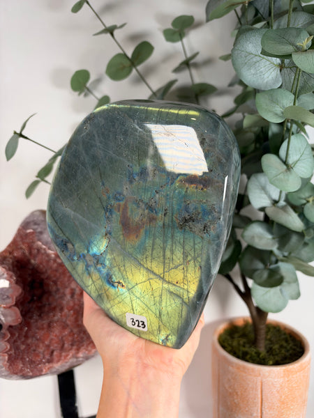 Labradorite Free Form - 323