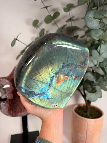 Labradorite Free Form - 323