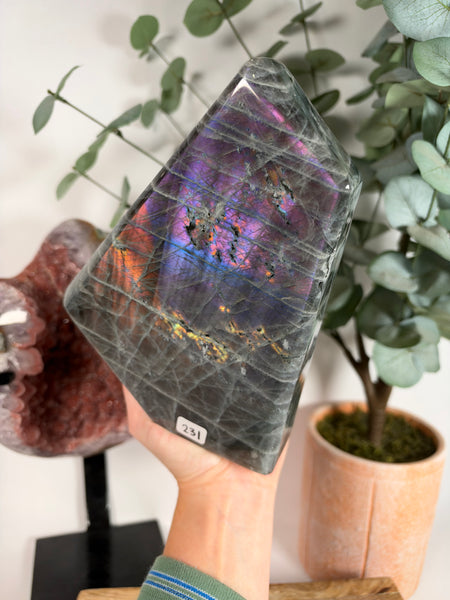 Labradorite Free Form - 231