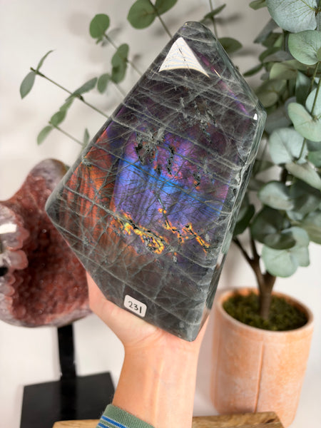 Labradorite Free Form - 231