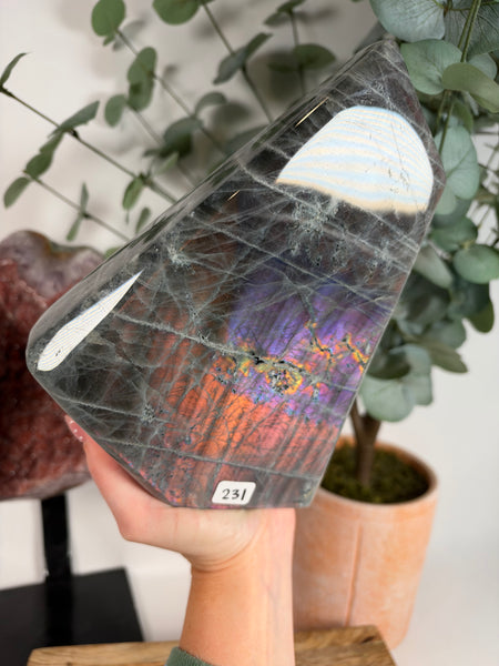 Labradorite Free Form - 231