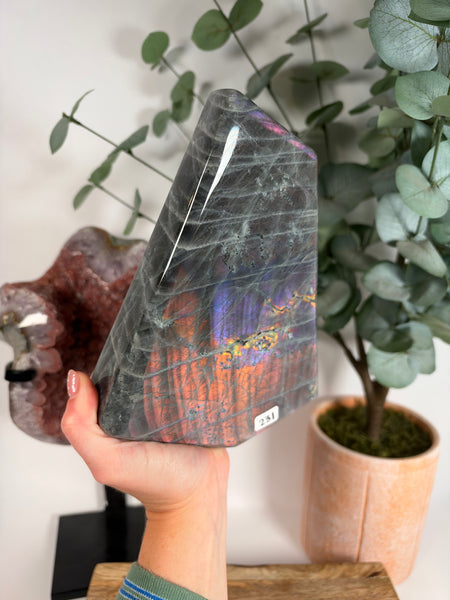Labradorite Free Form - 231