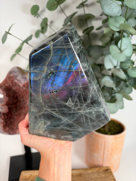 Labradorite Free Form - 231