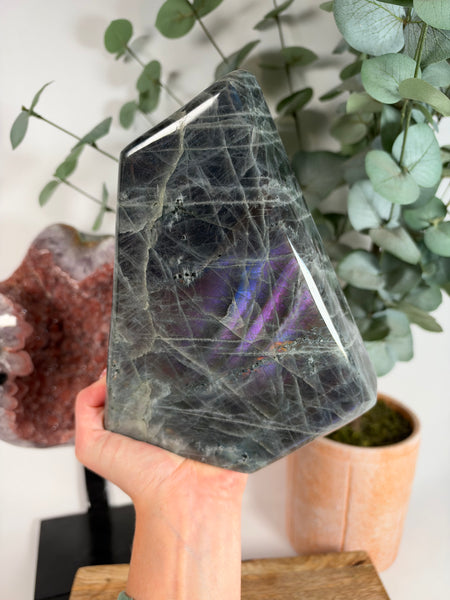Labradorite Free Form - 231