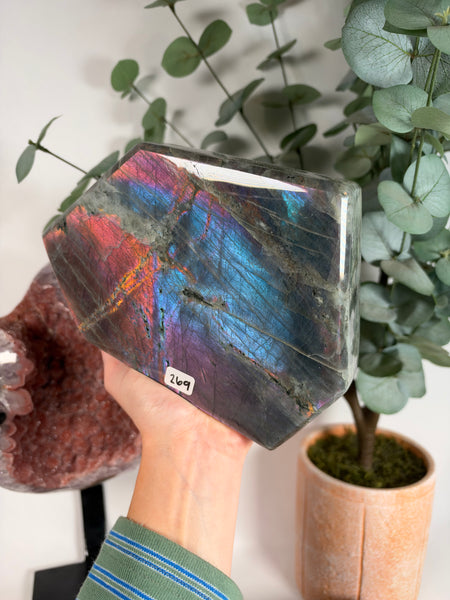 Labradorite Free Form - 269