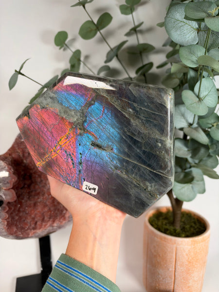 Labradorite Free Form - 269