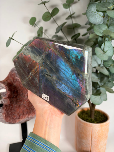Labradorite Free Form - 269