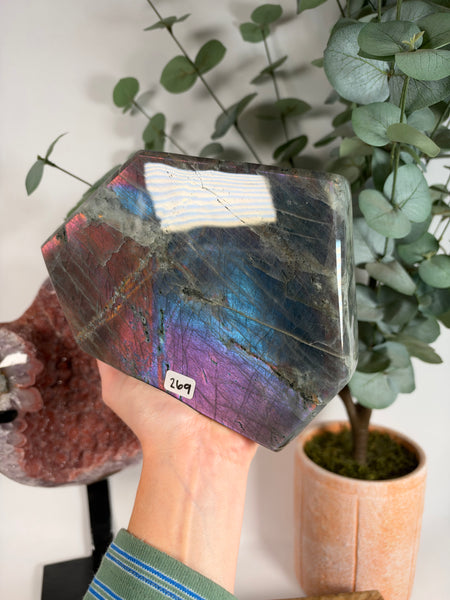 Labradorite Free Form - 269