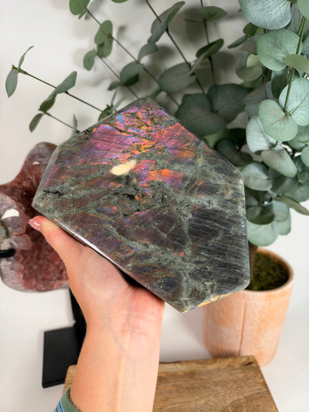 Labradorite Free Form - 269