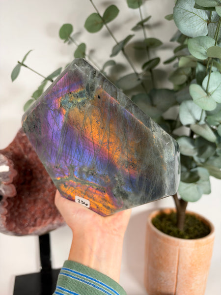 Labradorite Free Form - 236