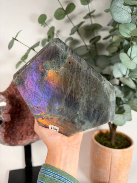 Labradorite Free Form - 236