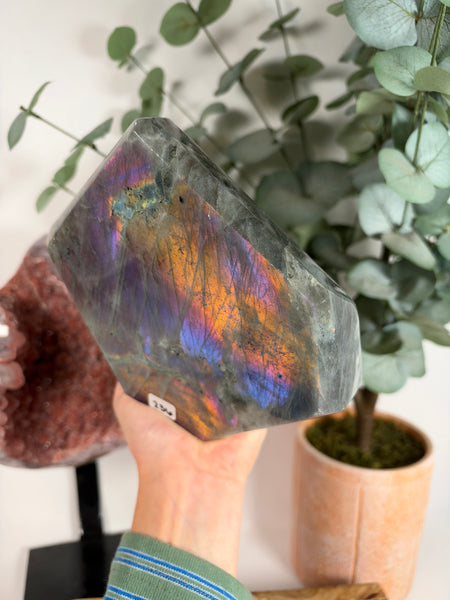 Labradorite Free Form - 236