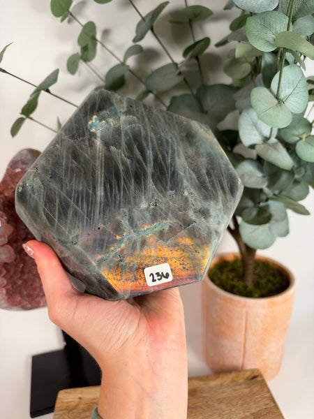Labradorite Free Form - 236