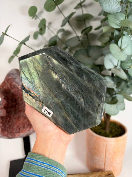 Labradorite Free Form - 179