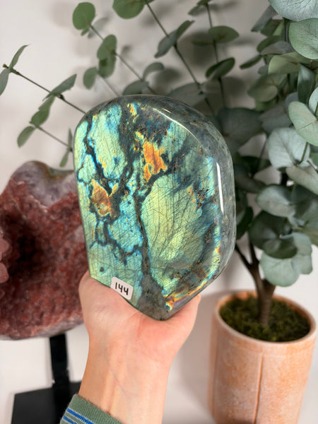 Labradorite Free Form - 144