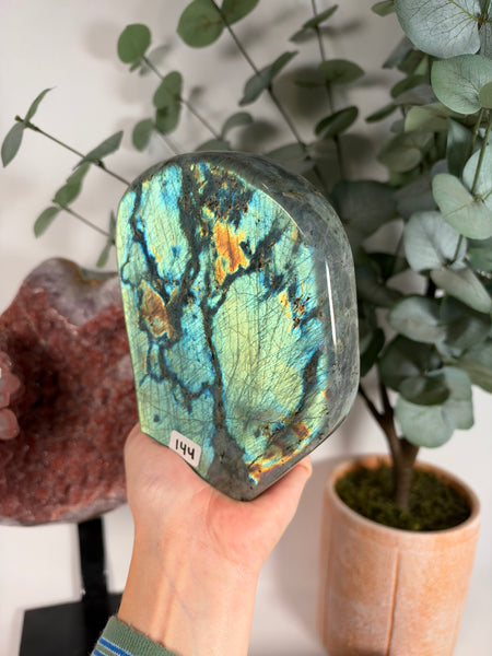 Labradorite Free Form - 144